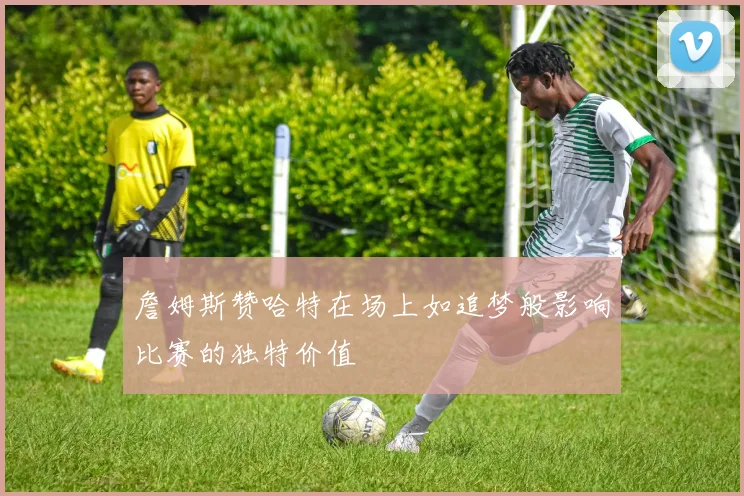 詹姆斯赞哈特在场上如追梦般影响比赛的独特价值